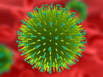 Flu_virus_1